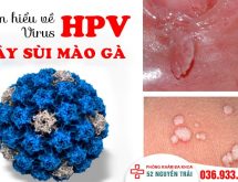 HPV gây sùi mào gà – Những thông tin cần phải nắm rõ