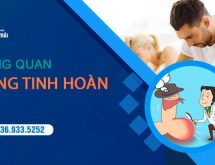 Sưng bìu tinh hoàn – Đau nhức âm ỉ, sưng tấy đỏ là bệnh gì?