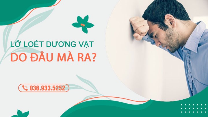 Lở loét dương vật 