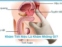 khám tiết niệu bao gồm những gì