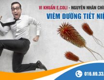 Nguyên nhân gây viêm đường tiết niệu phái mạnh