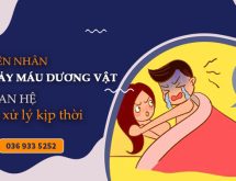 Chảy máu dương vật khi đang quan hệ