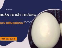 Tinh hoàn to bất thường 1 bên có nguy cơ vô sinh đến 90%