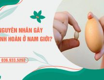 Nếu có những biểu hiện này, 90% khả năng đàn ông bị teo tinh hoàn