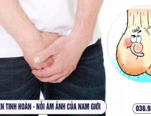 ĐAU MỘT BÊN TINH HOÀN – CẨN THẬN KẺO UNG THƯ TINH HOÀN