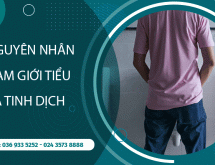 Tiểu ra tinh dịch nguyên nhân do đâu? Có ảnh hưởng tới chức năng sinh sản không?