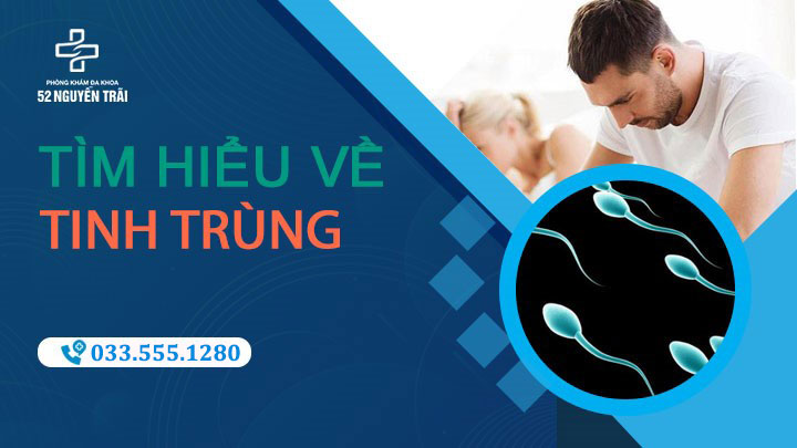 Tìm hiểu về tinh trùng với những bệnh lý dễ mắc phải