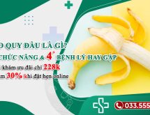 Bao quy đầu là gì? 3 Chức năng và 4 Bệnh lý thường gặp ở bao quy đầu