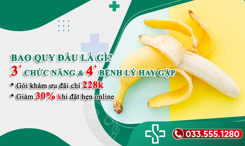 Bao quy đầu là gì? 3 Chức năng và 4 Bệnh lý thường gặp ở bao quy đầu