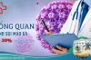 Thông tin tổng hợp đầy đủ về bệnh sùi mào gà