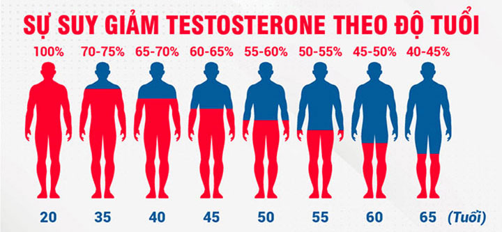 suy giảm testosterone theo độ tuổi - mãn dục nam