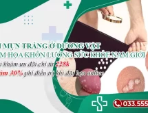 Nổi mụn trắng ở dương vật – Hiểm họa khôn lường tới sức khỏe nam giới