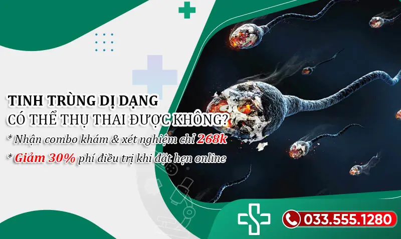 Tinh trùng dị dạng là gì? Ảnh hưởng thế nào đến khả năng thụ thai?