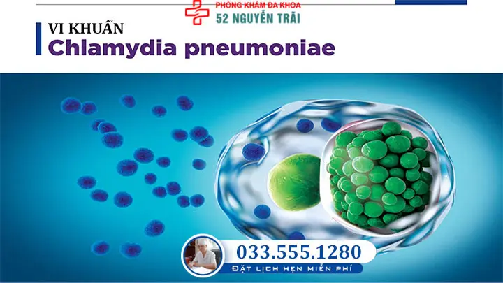 Vi khuẩn Chlamydia pneumoniae gây ra các bệnh lý liên quan đến đường hô hấp