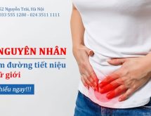 Nguyên nhân bị viêm đường tiết niệu ở nữ giới