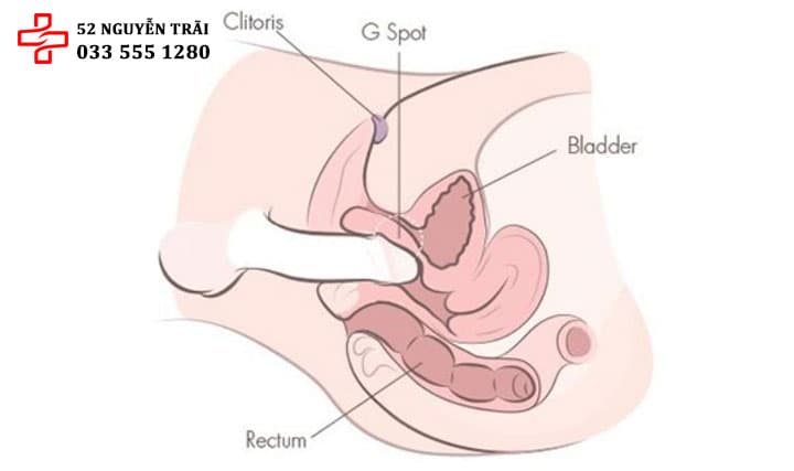 Cậu nhỏ không vào được cô bé
