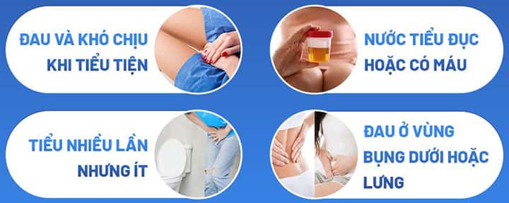 Dấu hiệu nhận biết viêm đường tiết niệu