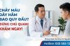Chảy máu dây hãm bao quy đầu là bệnh gì? Nguyên nhân, Cách sơ cứu và Phác đồ điều trị thẩm mỹ an toàn