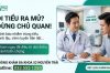 Tiểu ra mủ là bệnh gì? Nguyên nhân, Biến chứng và Phác đồ điều trị hiệu quả tại Hà Nội
