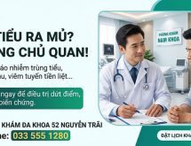 Tiểu ra mủ là bệnh gì? Nguyên nhân, Biến chứng và Phác đồ điều trị hiệu quả tại Hà Nội
