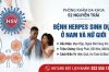 Bệnh Herpes Sinh Dục Ở Nam Và Nữ Giới: Cẩm Nang Từ A – Z Về Dấu Hiệu, Biến Chứng Và Cách Điều Trị