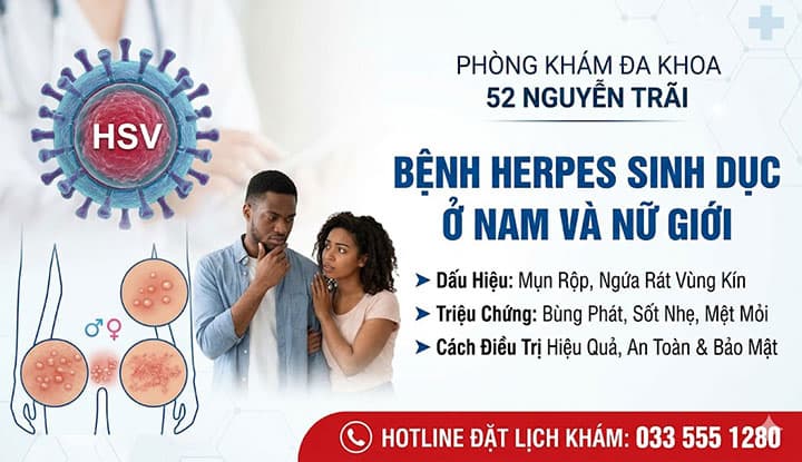Bệnh Herpes Sinh Dục Ở Nam Và Nữ Giới: Cẩm Nang Từ A - Z Về Dấu Hiệu, Biến Chứng Và Cách Điều Trị