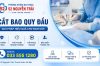 Cắt Bao Quy Đầu: Toàn Bộ Thông Tin Y Khoa, Phương Pháp Và Chi Phí Cần Biết