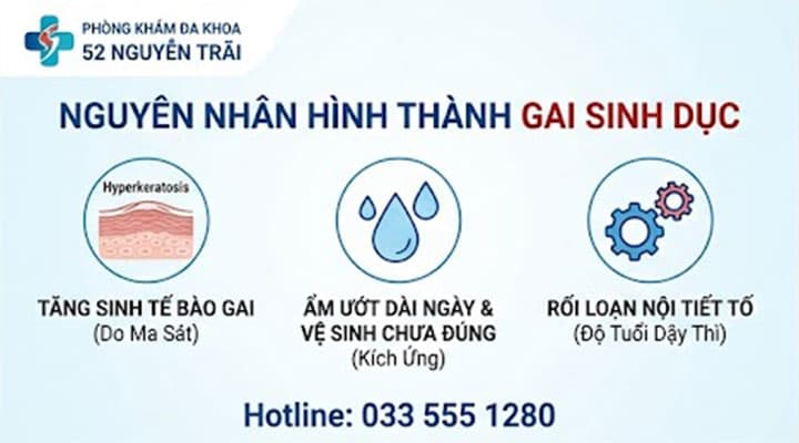 NGUYÊN NHÂN HÌNH THÀNH GAI SINH DỤC