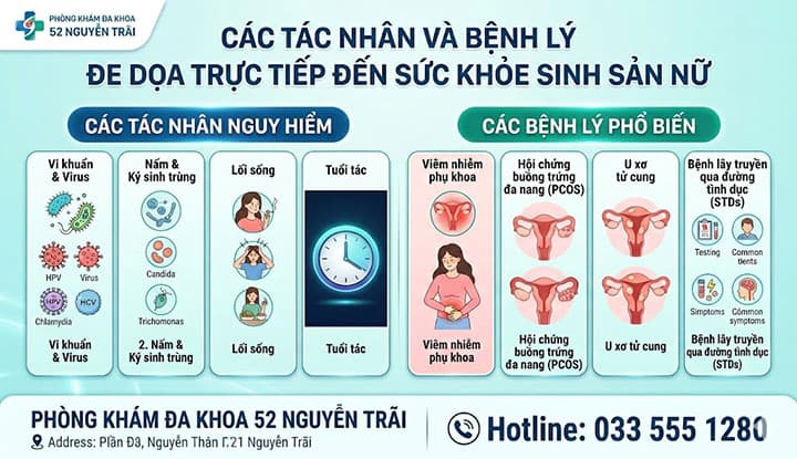 Các Tác Nhân Và Bệnh Lý Đe Dọa Trực Tiếp Đến Sức Khỏe Sinh Sản Nữ
