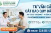 Tư Vấn Cắt Bao Quy Đầu An Toàn, Thẩm Mỹ: Hướng Dẫn Từ A Đến Z Cho Nam Giới
