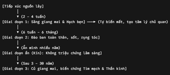 Các dấu hiệu lâm sàng cảnh báo theo từng giai đoạn